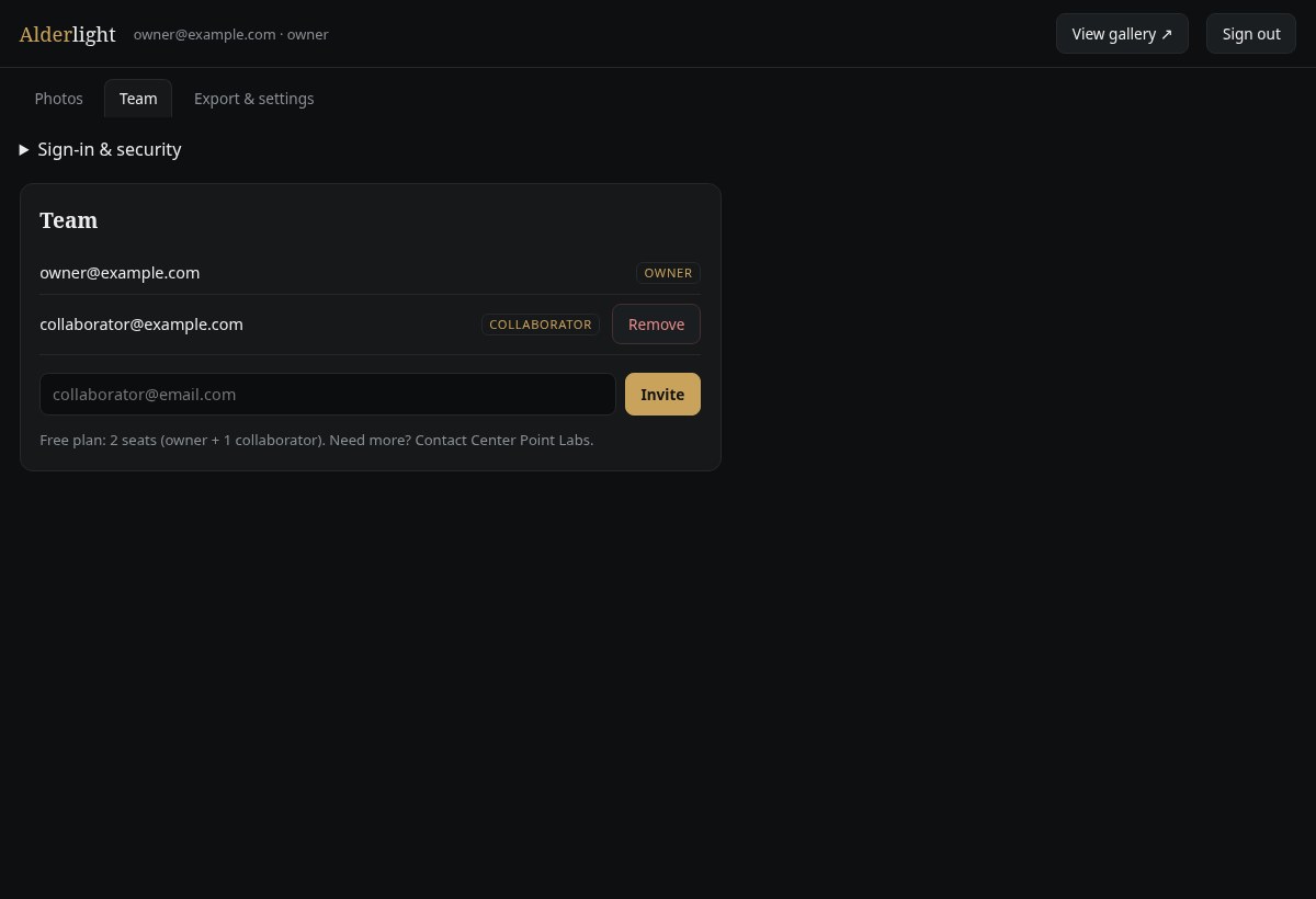 Team panel showing owner and collaborator roles with an invitation field